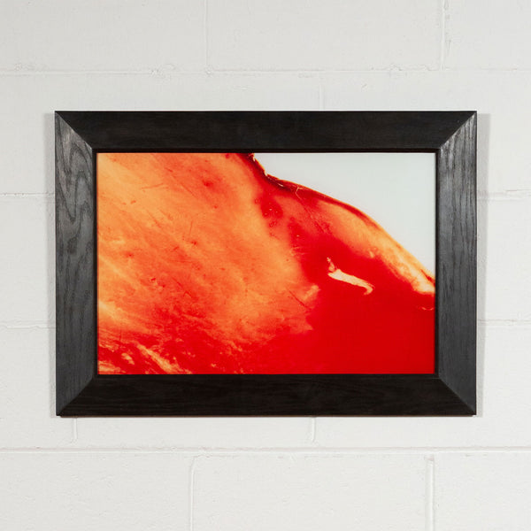 Andres Serrano Blood and Semen V Caviar20 photograph, framed and displayed on white brick wall