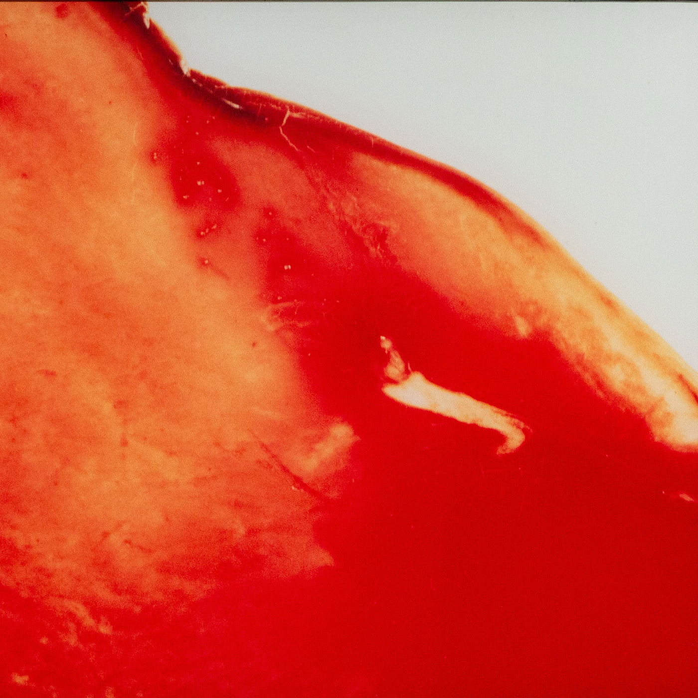 ANDRES SERRANO 
