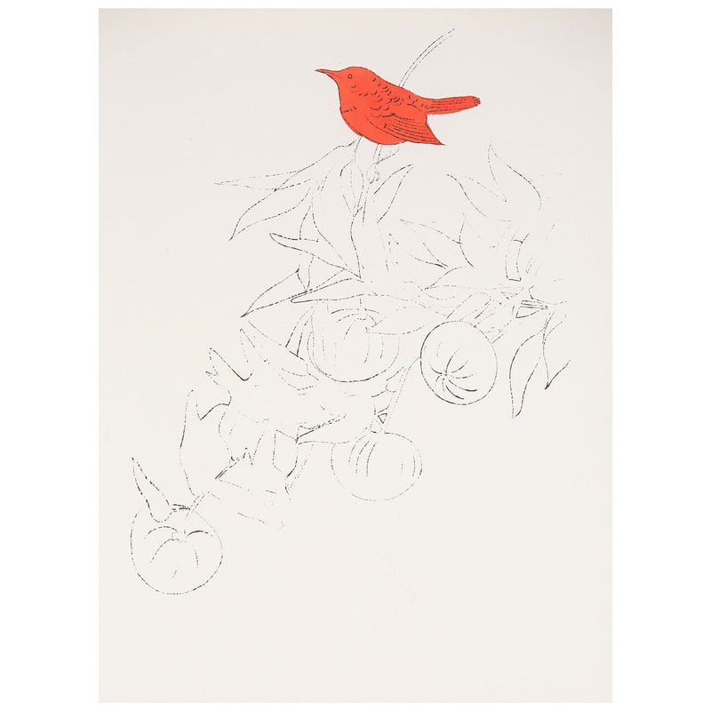 Andy Warhol artwork for sale, "Bird on a Fruit Branch" 1957.  “Bird on a Fruit Branch” is emblematic of Warhol’s work during the late 1950s when he established his reputation with delicate and whimsical drawings of clothes, accessories, and stylized beauties in a distinctively elegant but playful aesthetic. 