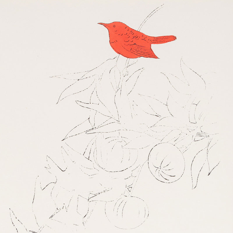 Andy Warhol artwork for sale, "Bird on a Fruit Branch" 1957.  “Bird on a Fruit Branch” is emblematic of Warhol’s work during the late 1950s when he established his reputation with delicate and whimsical drawings of clothes, accessories, and stylized beauties in a distinctively elegant but playful aesthetic. 