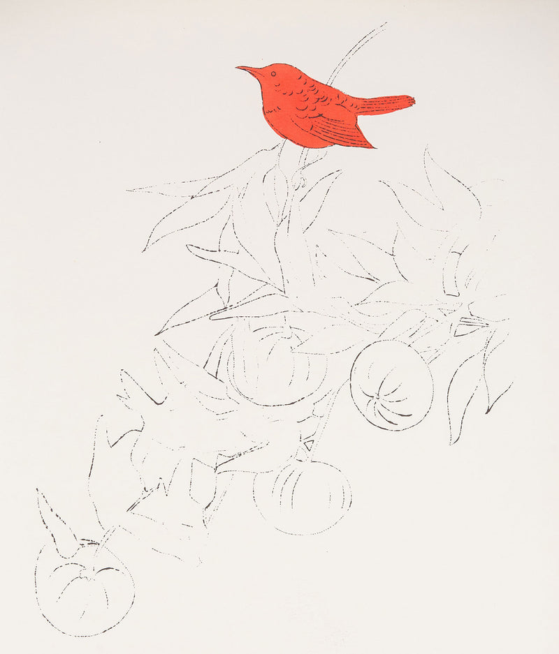 Andy Warhol artwork for sale, "Bird on a Fruit Branch" 1957.  “Bird on a Fruit Branch” is emblematic of Warhol’s work during the late 1950s when he established his reputation with delicate and whimsical drawings of clothes, accessories, and stylized beauties in a distinctively elegant but playful aesthetic. 