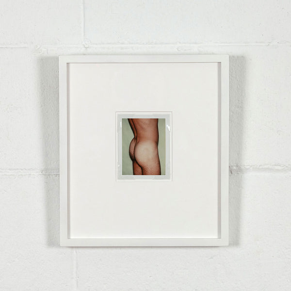 andy warhol caviar 20 polaroids male nude gay