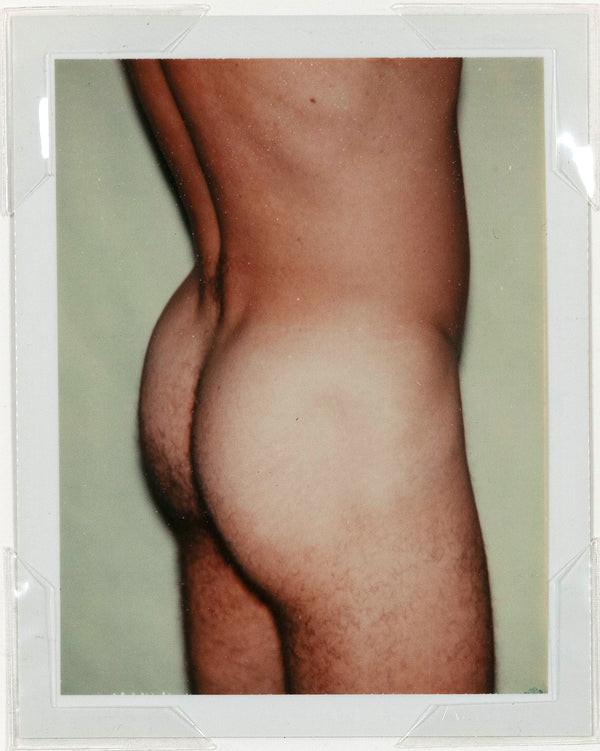 andy warhol caviar 20 polaroids male nude gay