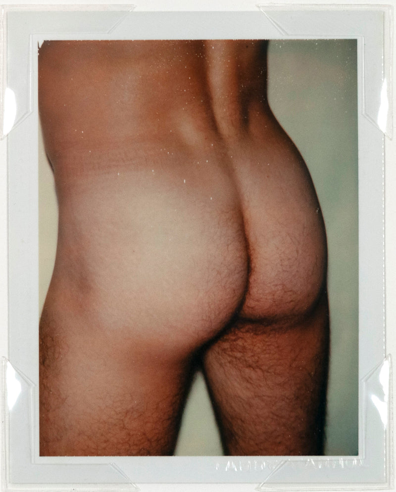 andy warhol caviar 20 polaroids male nude gay