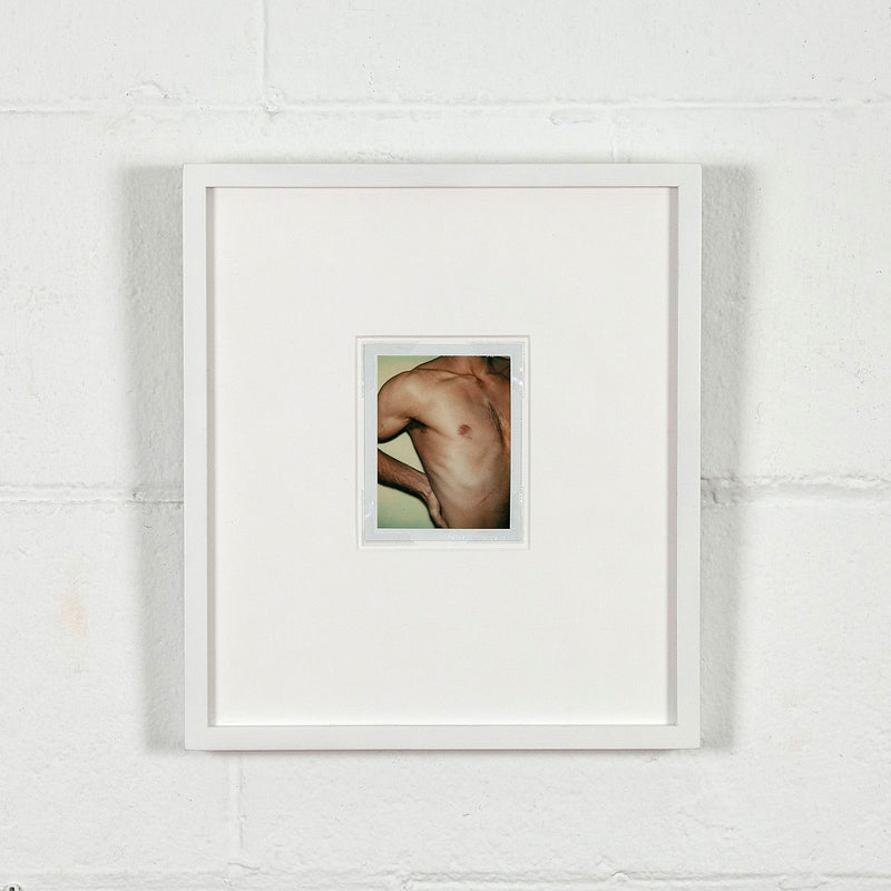 andy warhol caviar 20 polaroids male nude gay