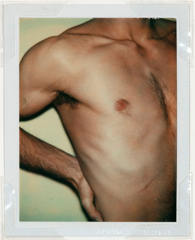 andy warhol caviar 20 polaroids male nude gay