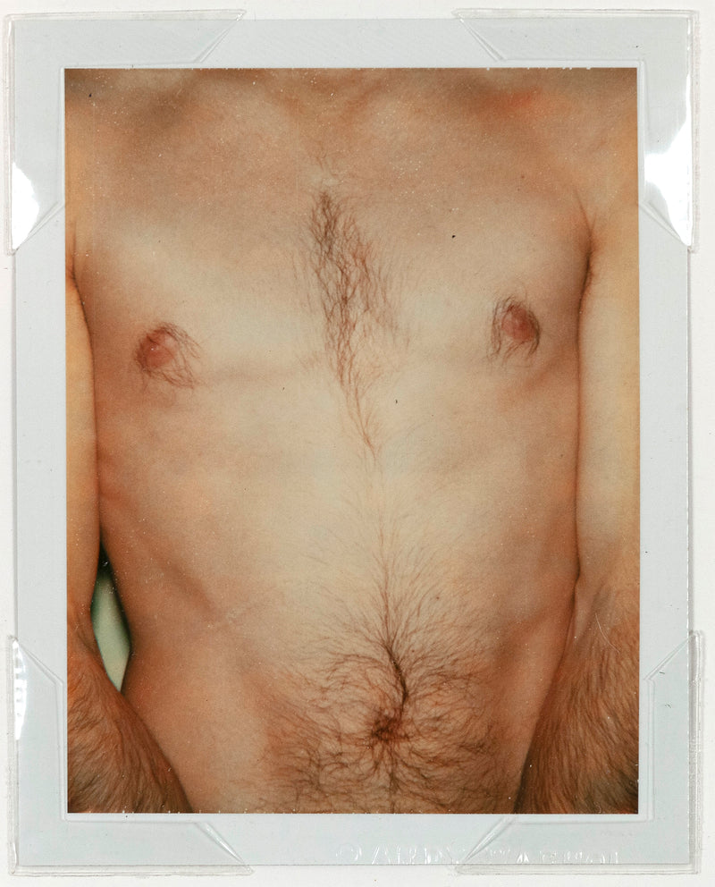 andy warhol caviar 20 polaroids male nude gay