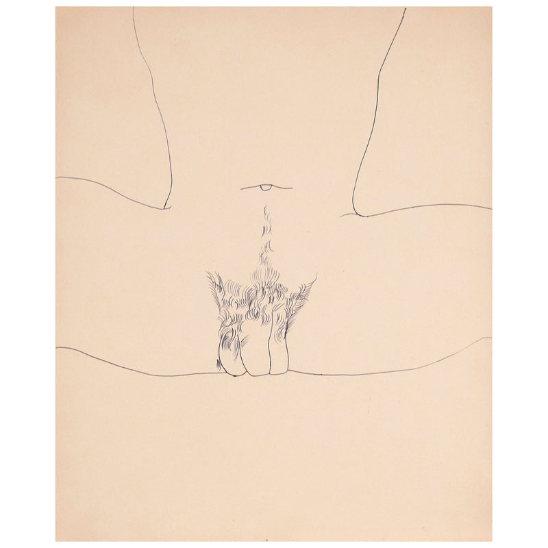 Andy Warhol original artwork for sale, Spread, Black ballpoint pen on manila paper, 1955, Caviar20