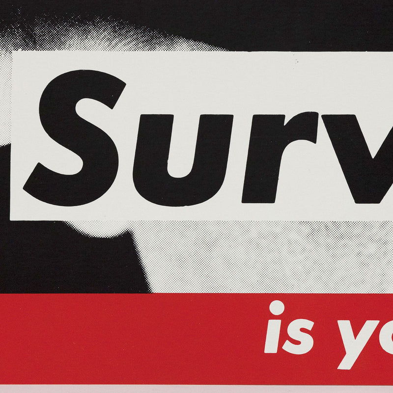 Barbara Kruger, Surveillance, Color Lithograph, 1983, Caviar20