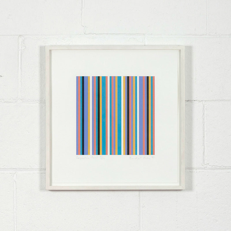 Caviar20 Bridget Riley Serpentine Gallery Prints