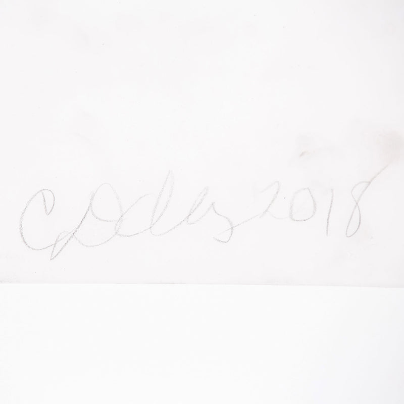 Cathy Daley "Ruffles" Oil pastel on vellum, 2018. This work is a paradigm of Daley’s practice, featuring her signature female form in a fluttering tutu that occupies the entire upper width of the image. 