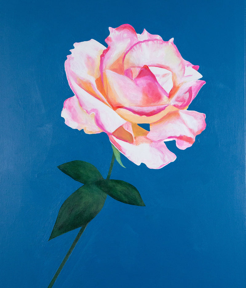 Charles Pachter "August Rose" Acrylic on canvas, 2021. This fragrant painting features a delicate pink rose, its petals turned outward on full display. Following Pachter's typical graphic style, the background is a crisp sky blue, further emphasizing the delicate nature of the flower.