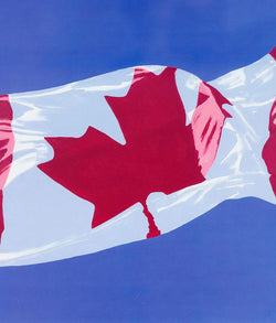 Charles Pachter prints Caviar20 Canadian flag