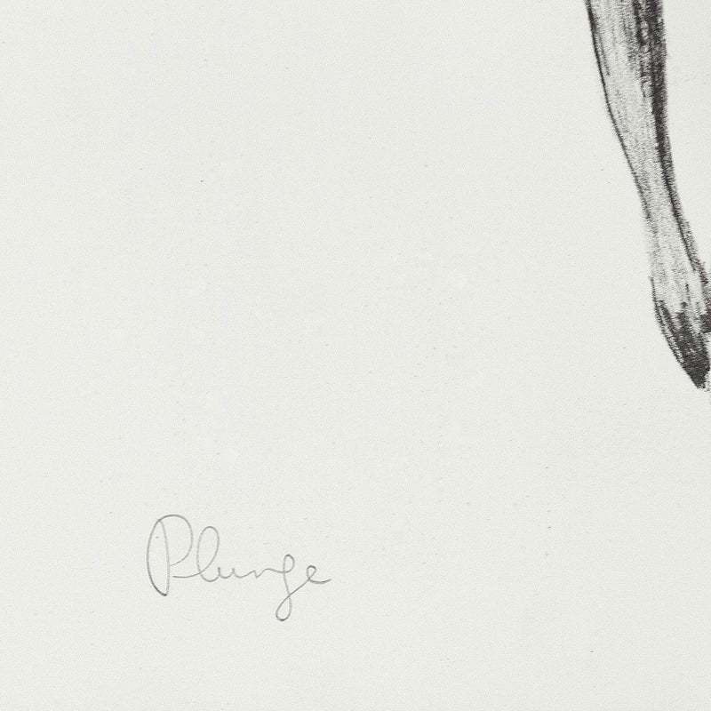 Charles Pachter Plunge 1970 Caviar20