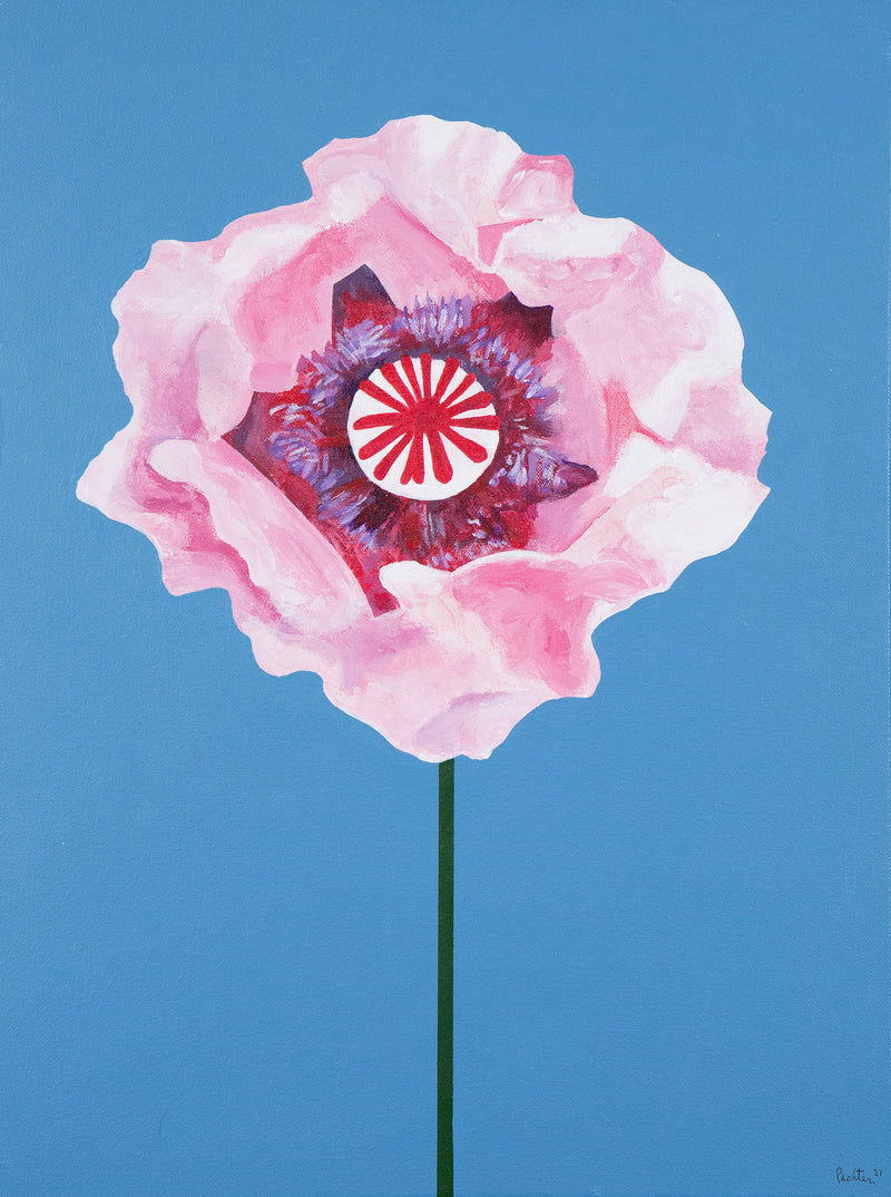 CHARLES PACHTER "POPPY" ACRYLIC ON CANVAS, 2021