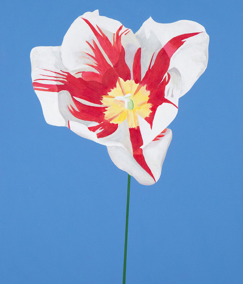 CHARLES PACHTER "GRAND TULIP" ACRYLIC ON CANVAS, 2020