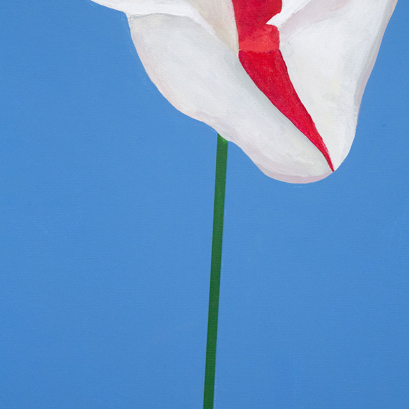 CHARLES PACHTER "GRAND TULIP" ACRYLIC ON CANVAS, 2020