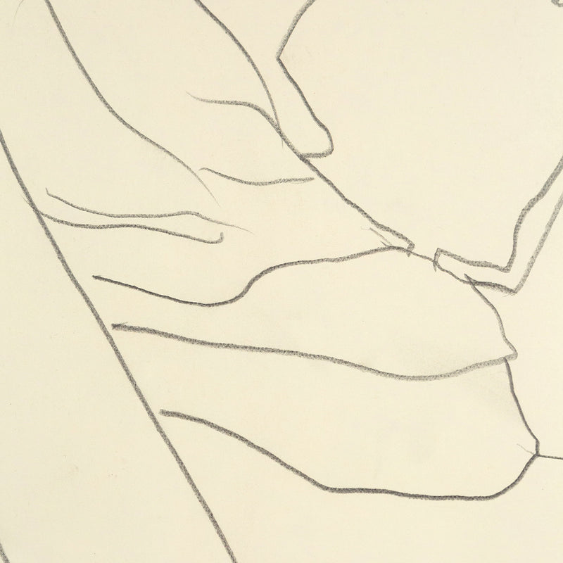 Charles Pachter, Hockey Knights in Canada, 1984, drawings, pencil on paper
