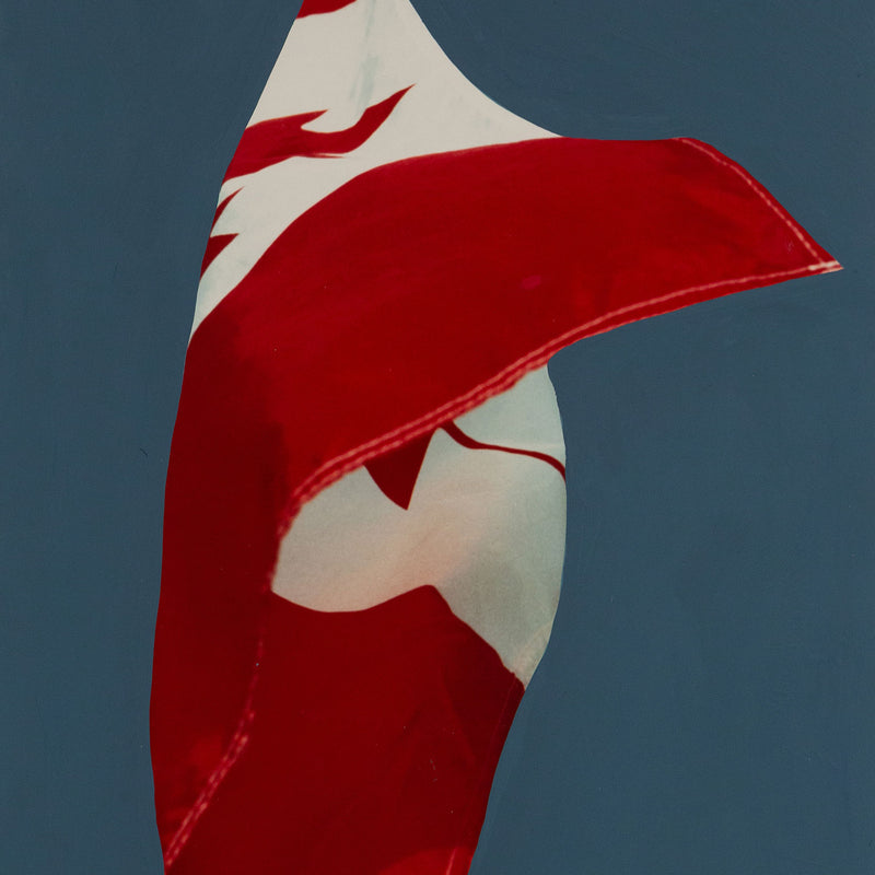 Charles Pachter, Painted Flag: Preparatory #4, Acrylic, 1981, Caviar20, 