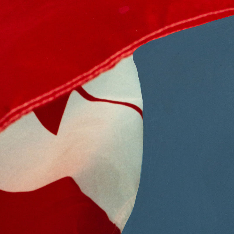 Charles Pachter, Painted Flag: Preparatory #4, Acrylic, 1981, Caviar20, 