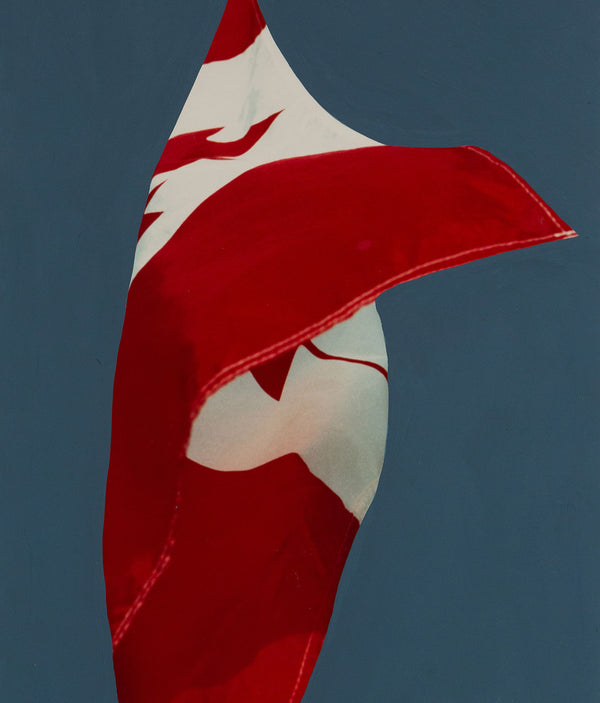 Charles Pachter, Painted Flag: Preparatory #4, Acrylic, 1981, Caviar20, 