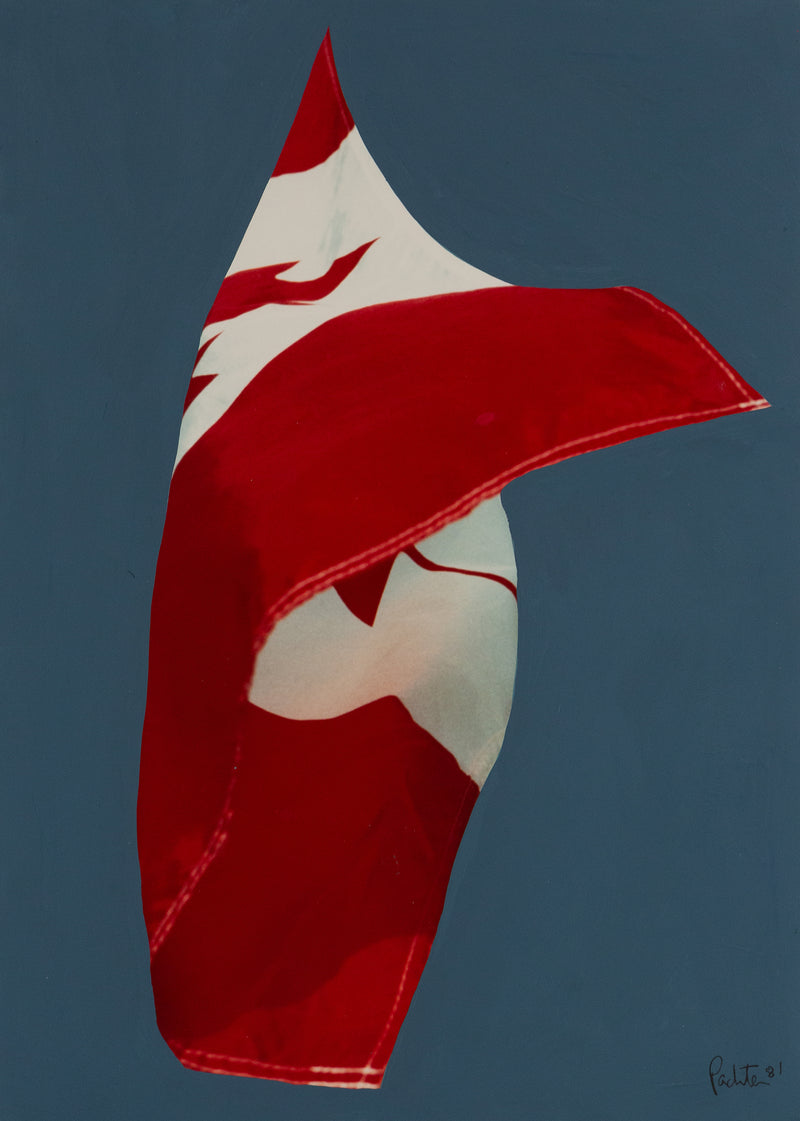 Charles Pachter, Painted Flag: Preparatory #4, Acrylic, 1981, Caviar20, 