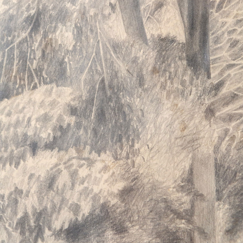 Christiane Pflug, "From Carol's Window," Canada, 1962, Pencil on paper, Signed and dated by the artist, 9.5"H 12.5"W (work)  20"H 21.75"W (framed), Very good condition