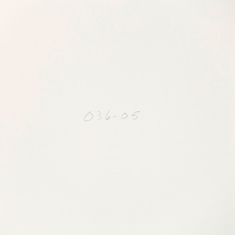 Dan Christensen Sweaty 2005 Caviar20 work on paper