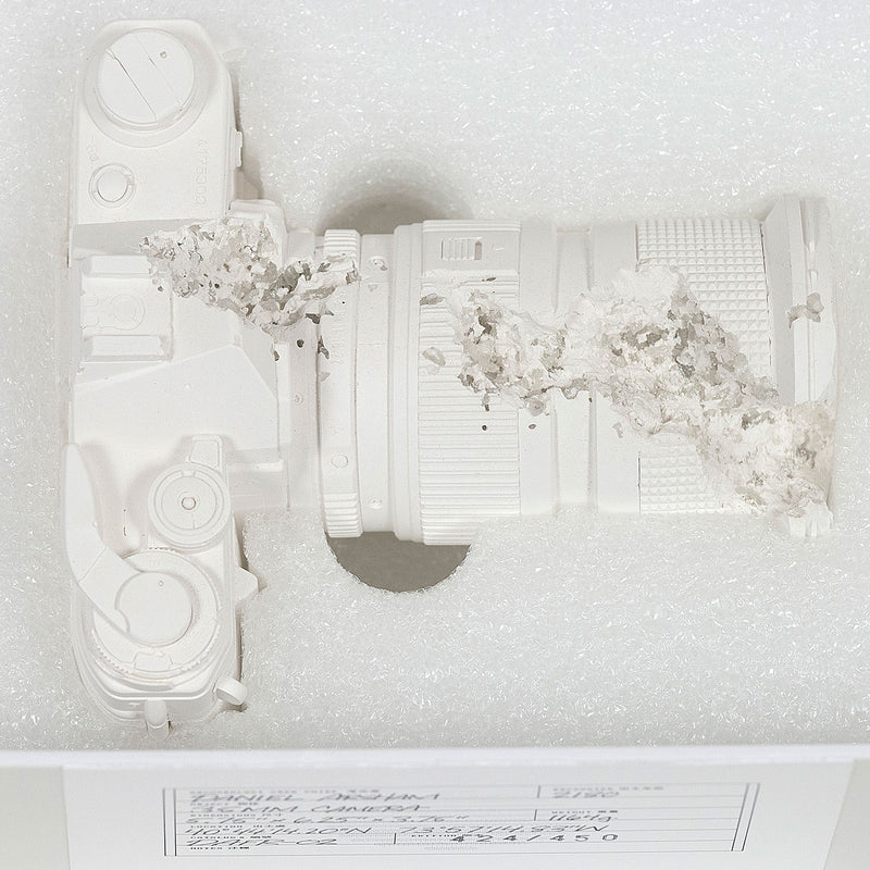 Daniel Arsham Future Relic Camera Caviar20