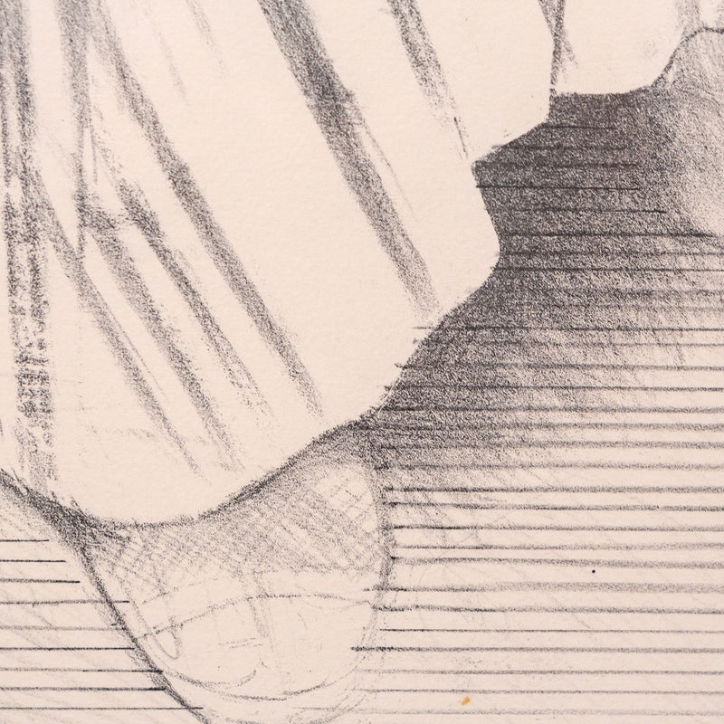 David Hockney, Brooke Hopper, Lithograph, 1976, Caviar20