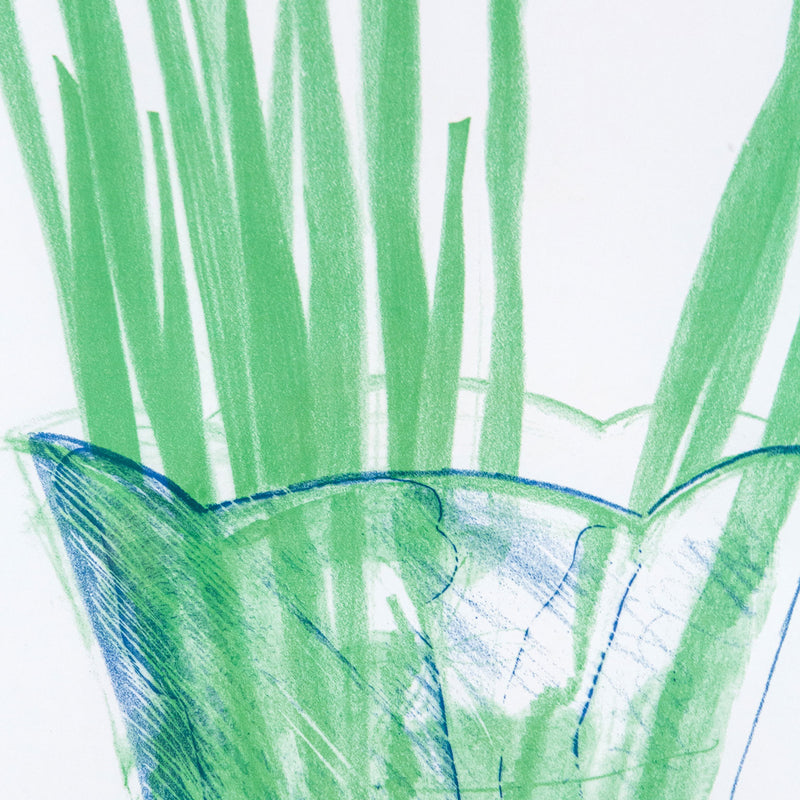 David Hockney, Irises, Offset Lithograph, 1973, Caviar20