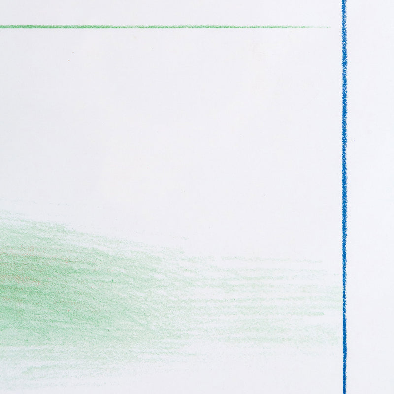 David Hockney, Irises, Offset Lithograph, 1973, Caviar20