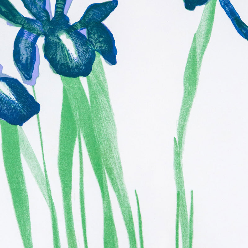 David Hockney, Irises, Offset Lithograph, 1973, Caviar20