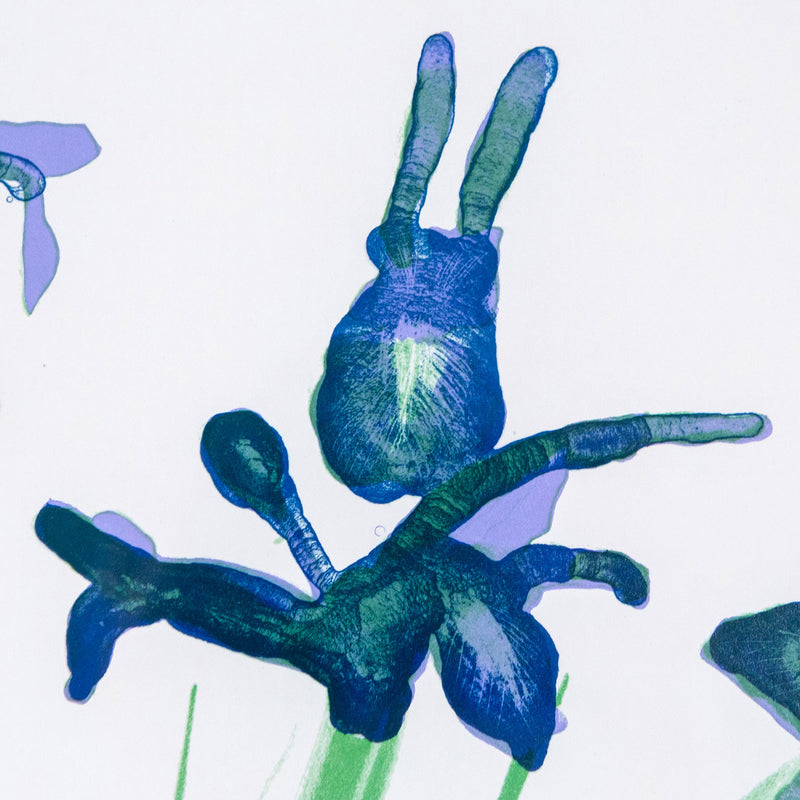 David Hockney, Irises, Offset Lithograph, 1973, Caviar20