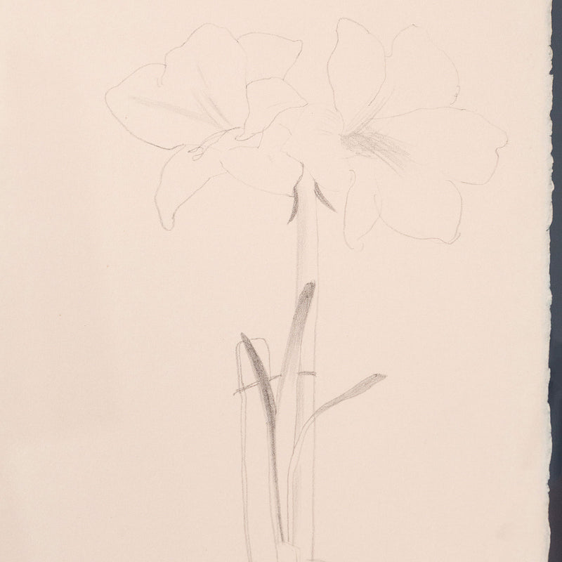 David Hockney, "Yves-Marie Hervé",  London, 1974.  Lithograph on Arches paper. Artist proof. David Hockney seated portrait.
