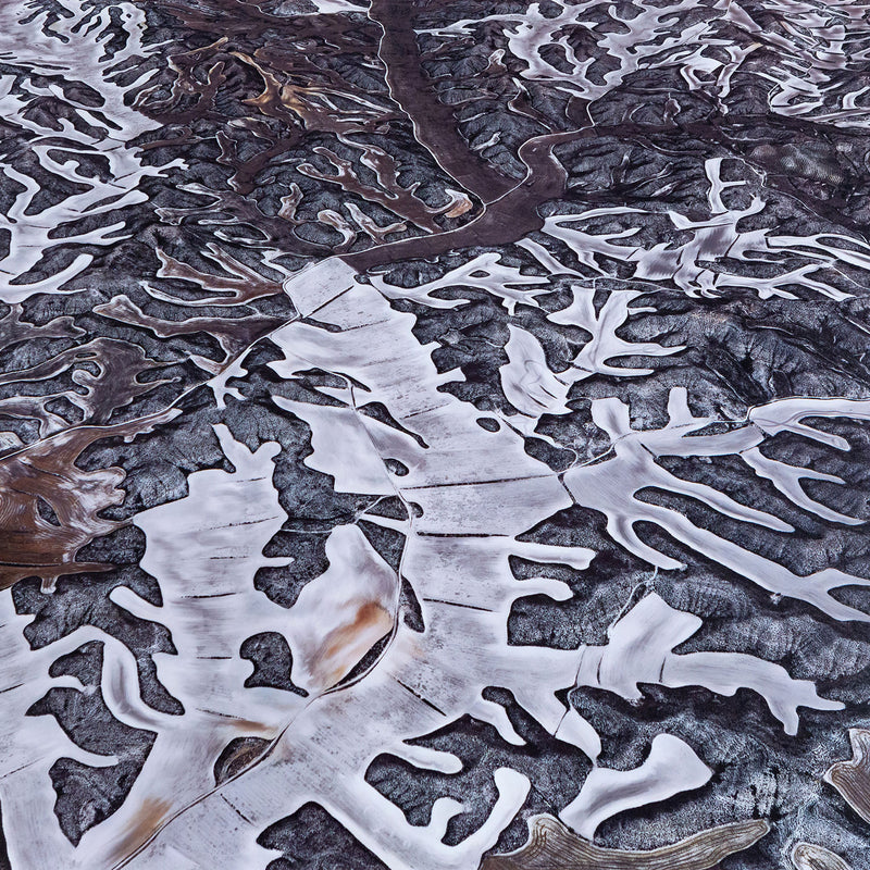 EDWARD BURTYNSKY "DRYLAND FARMING #7, SPAIN, 2010"