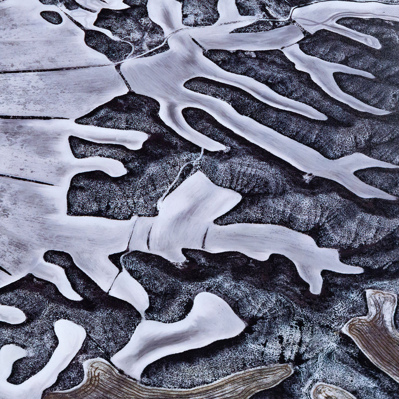 EDWARD BURTYNSKY "DRYLAND FARMING #7, SPAIN, 2010"