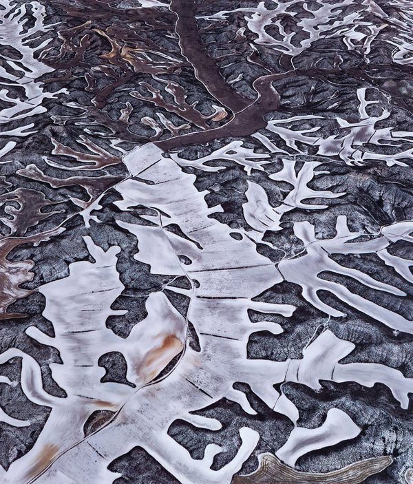 EDWARD BURTYNSKY "DRYLAND FARMING #7, SPAIN, 2010"