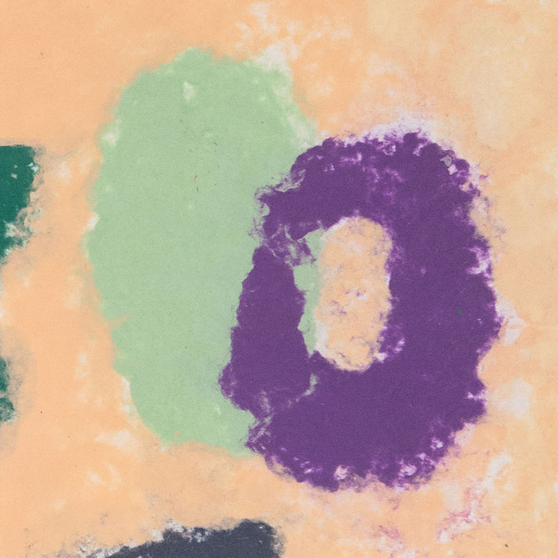 Friedel Dzubas, Collective, monotype, 1982, Caviar20