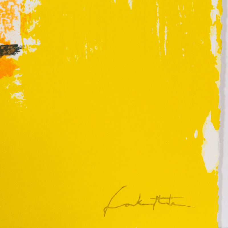 Helen Frankenthaler Solar Imp screenprint Caviar20