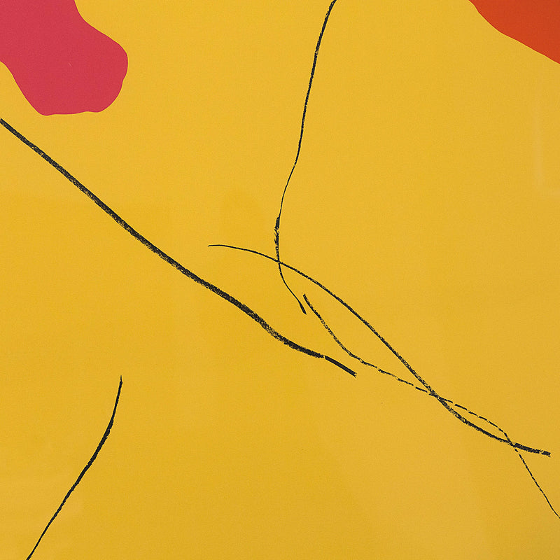 Helen Frankenthaler screenprint Spoleto 1972 Caviar20