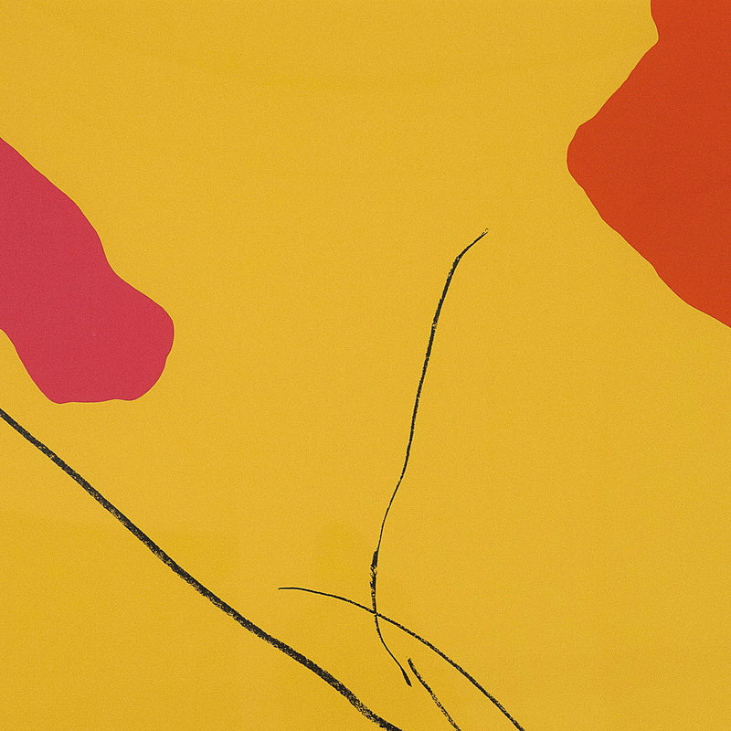 Helen Frankenthaler screenprint Spoleto 1972 Caviar20