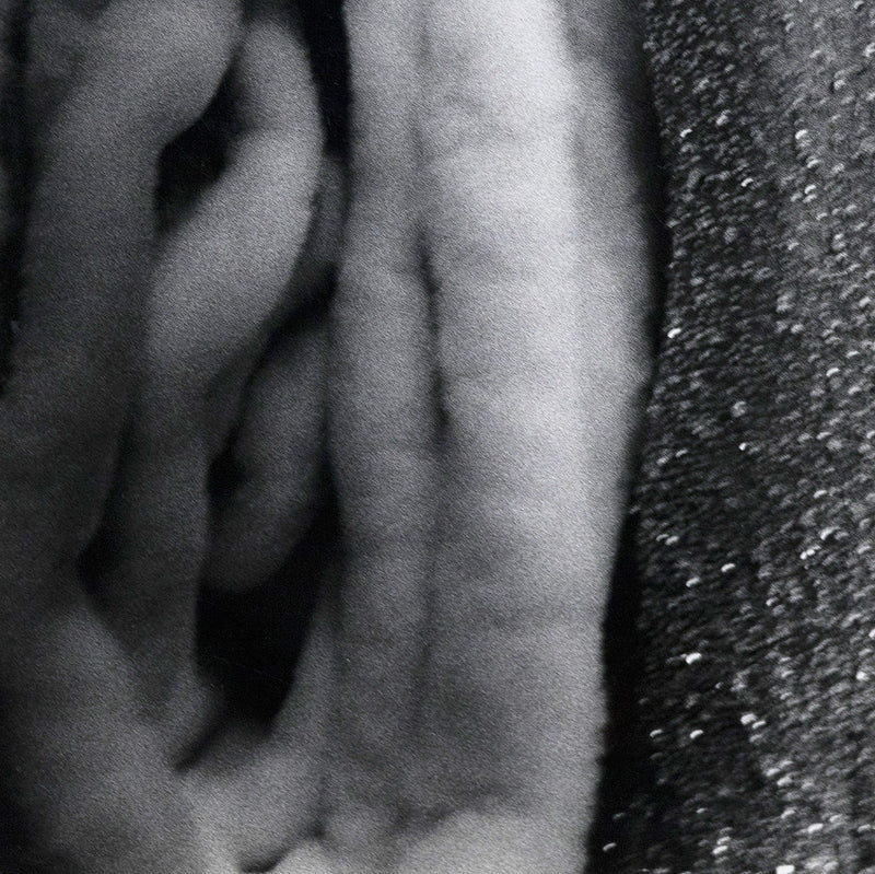 Marlene Dietrich Herbert List Caviar20 photo