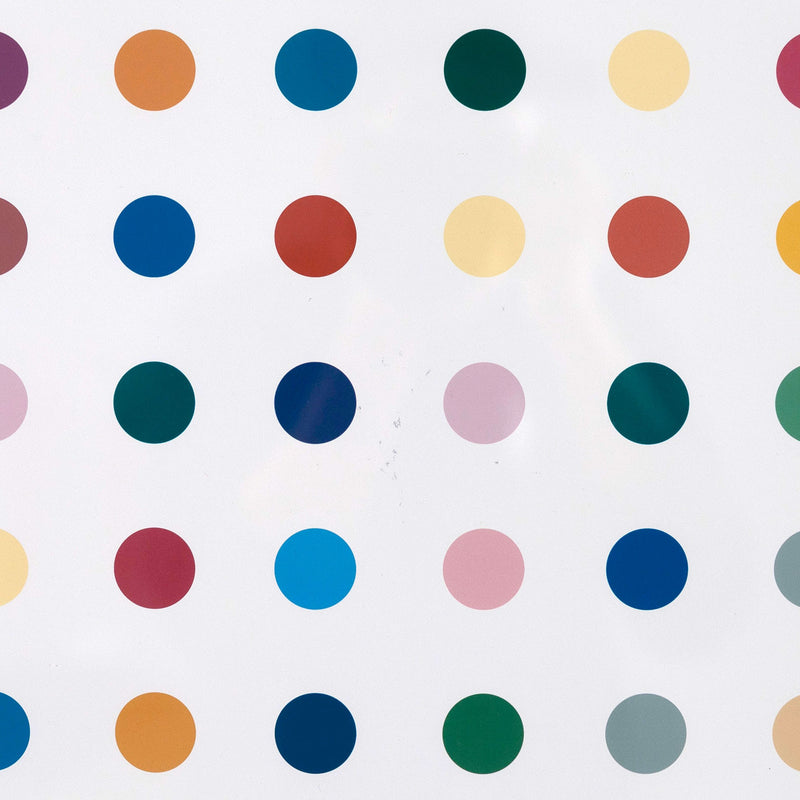 DAMIEN HIRST "OPIUM" 2000