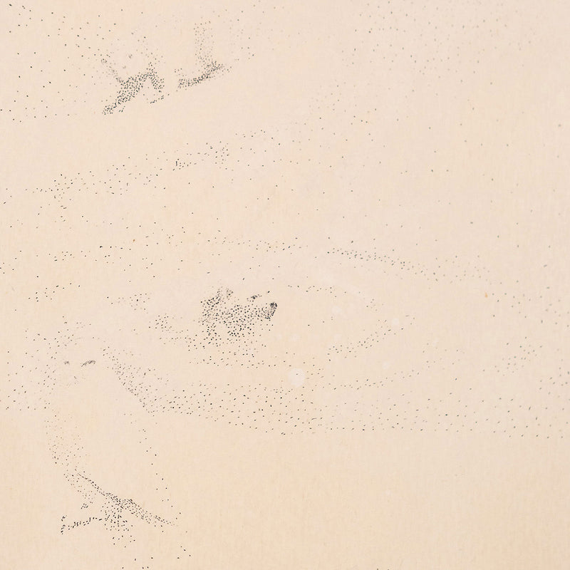 Jack Chambrs, Canadian Art, "Olga at the South Pole"   Canada, 1965  Ink on paper  12"H 17.5"W (work)  18.75"H 23.75"W (framed)  Very good condition.