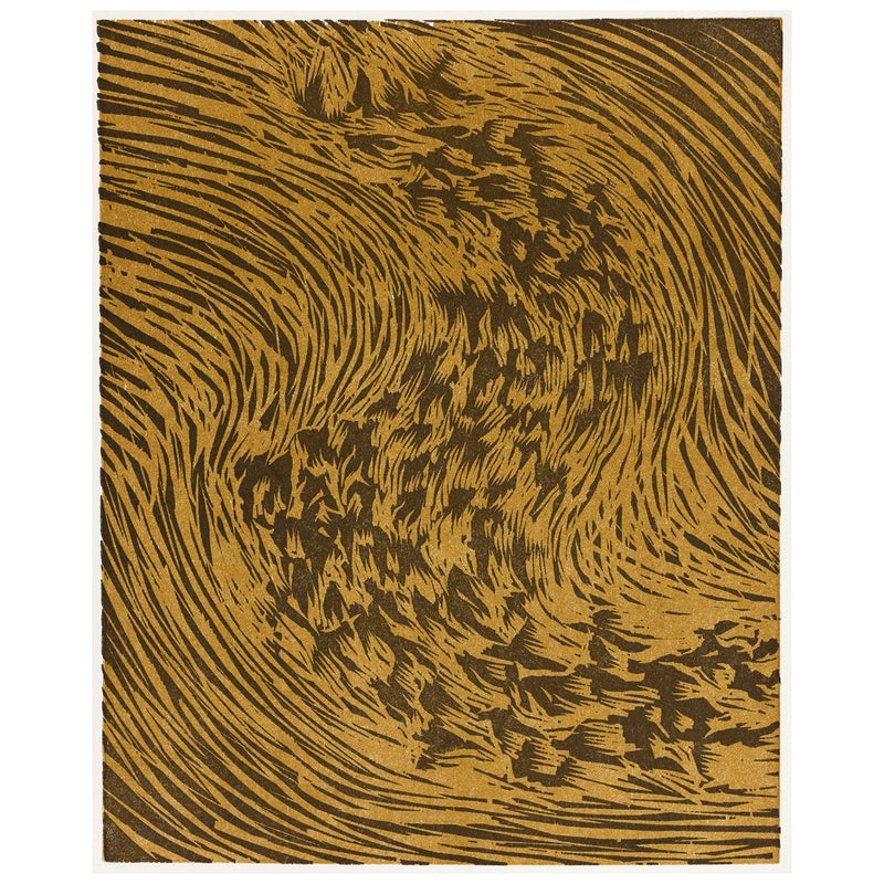James Nares, Starling, Print, 1990, Caviar20