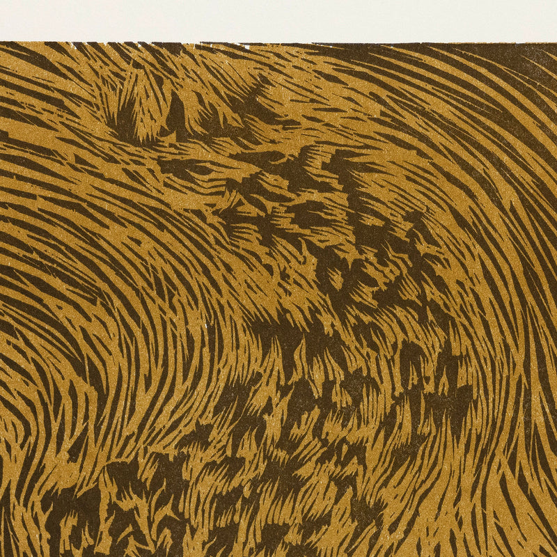 James Nares, Starling, Print, 1990, Caviar20