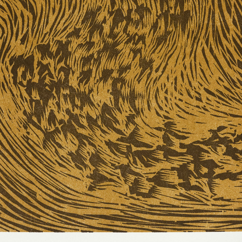 James Nares, Starling, Print, 1990, Caviar20