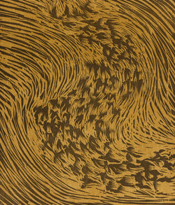 James Nares, Starling, Print, 1990, Caviar20