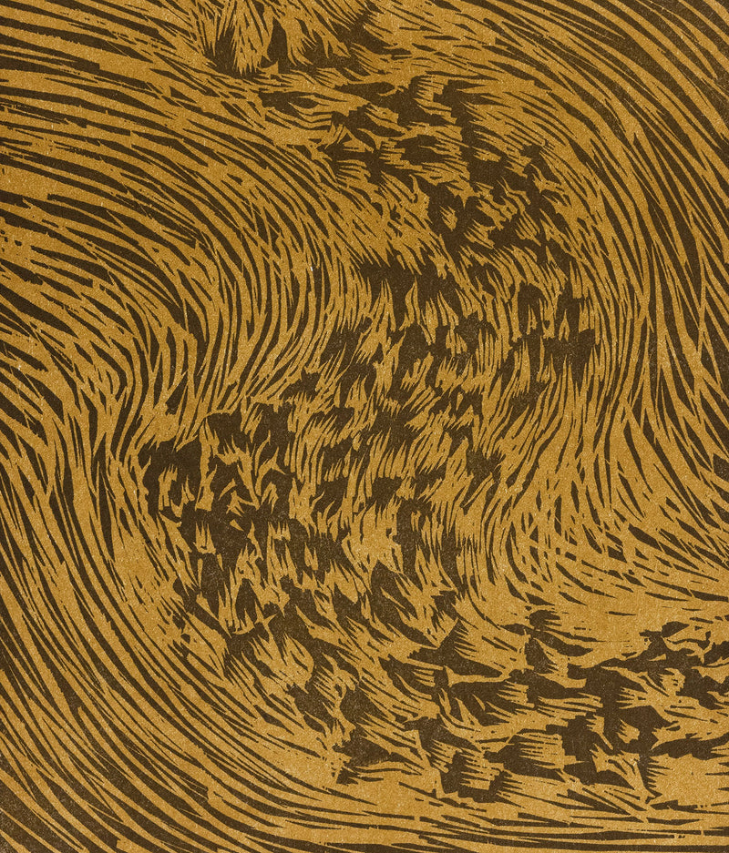 James Nares, Starling, Print, 1990, Caviar20